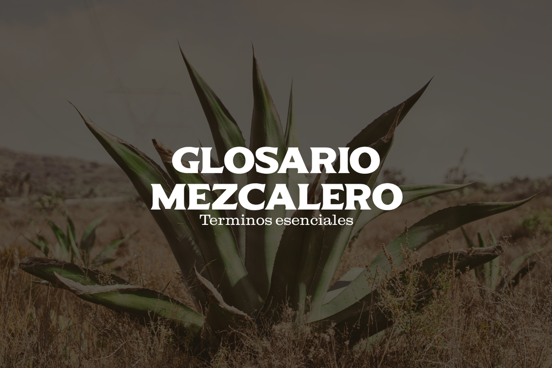Glosario Definitivo de Términos Mezcaleros: De "Capón" a "Tepache"