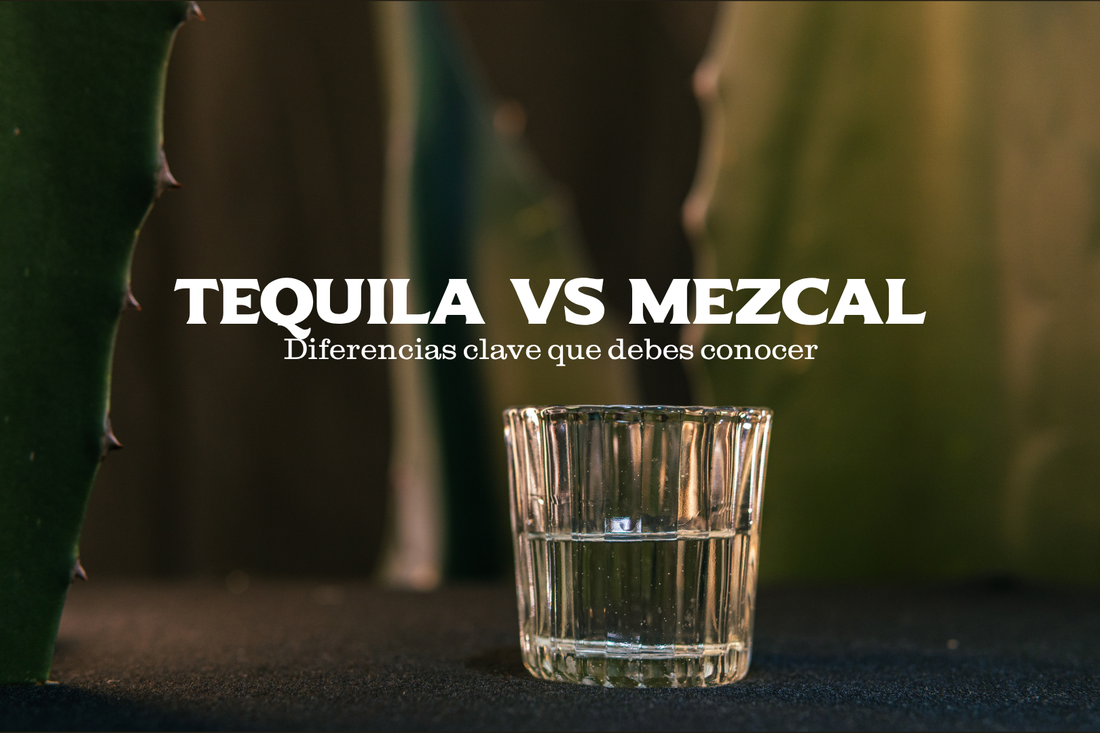 Mezcal vs Tequila: 7 Diferencias Clave que Debes Conocer Antes de tu Próximo Brindis