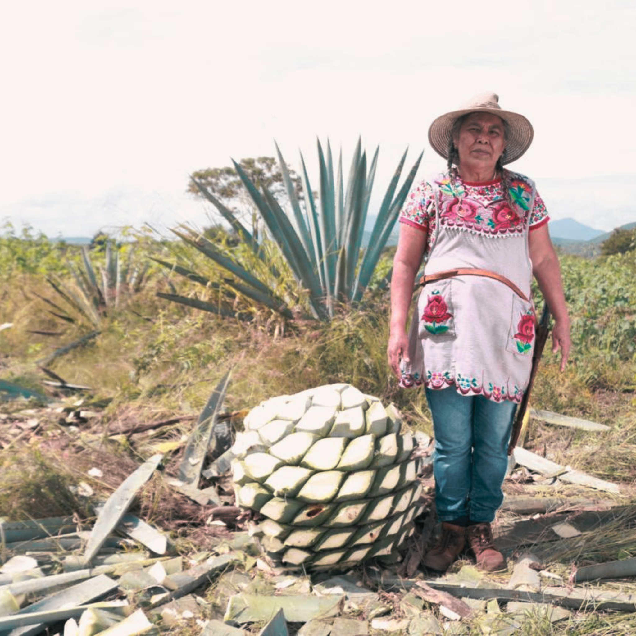 Mezcal Berta Vazquez Tobalá Artesanal 750 ml