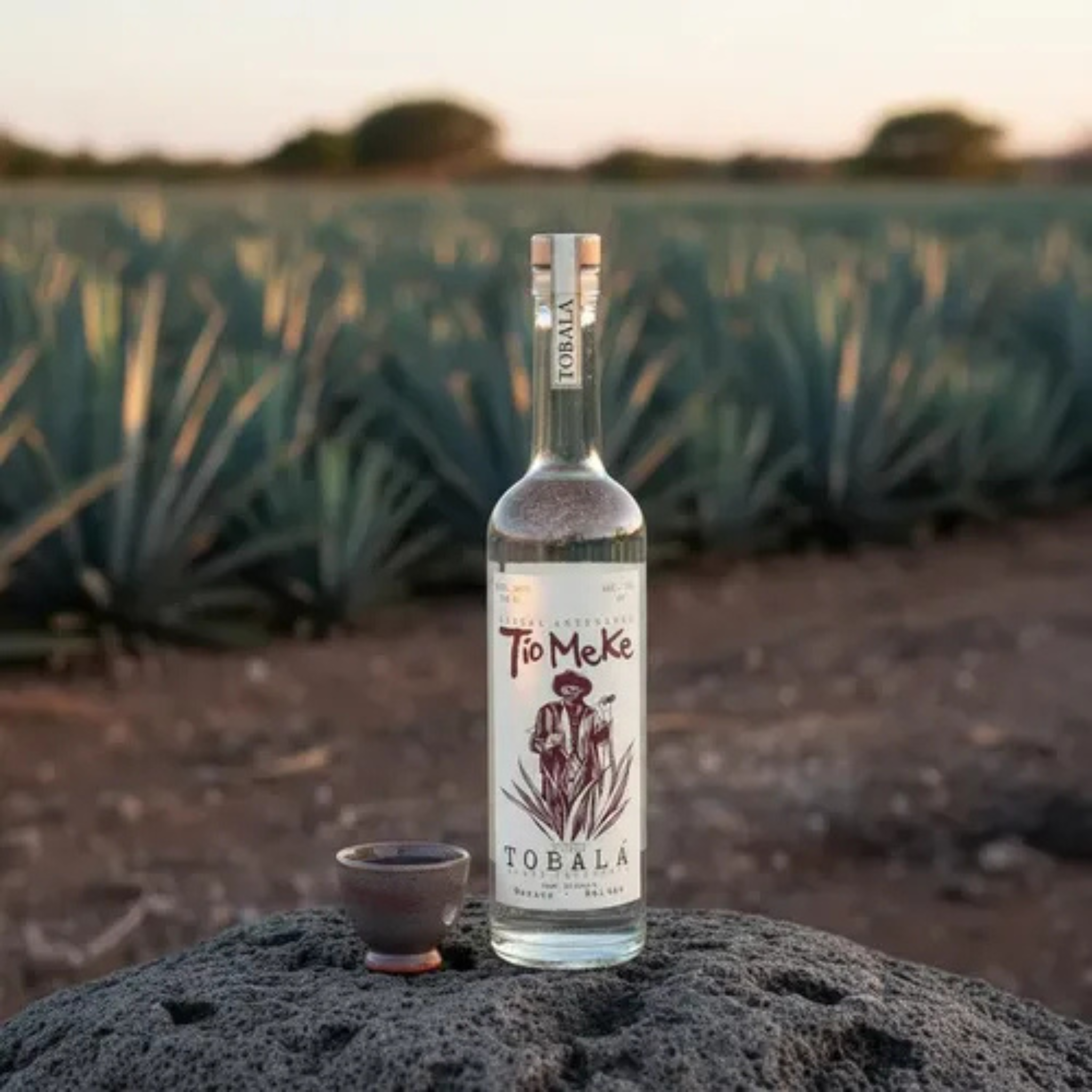 Mezcal Tío Meke Tobalá Artesanal 750 ml